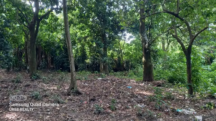  6,000 V² | $450,000 TERRENO EN VENTA | SAN SAN SALVADOR, RAMÓN.