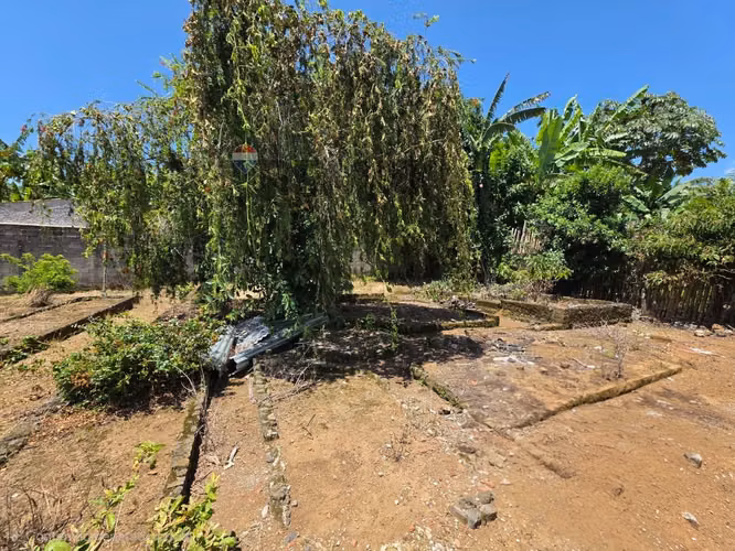 VENTA TERRENO EN ATACO RUTA LAS FLORES AHUCHAPAN EL SALVADOR - Imagen 3