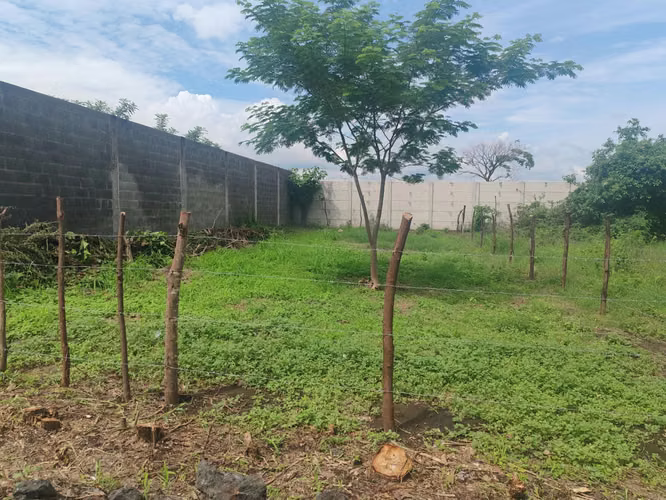Lotificación Suhan, contiguo a Villa Panamericana, San Miguel. - Imagen 6
