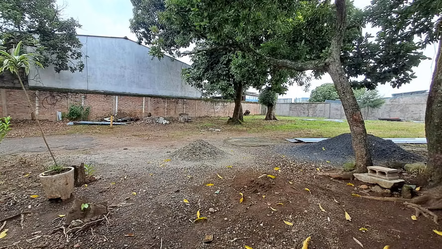 Alquiler de Terreno en Colonia Escalon parte alta, SAn Salvador  - Imagen 8