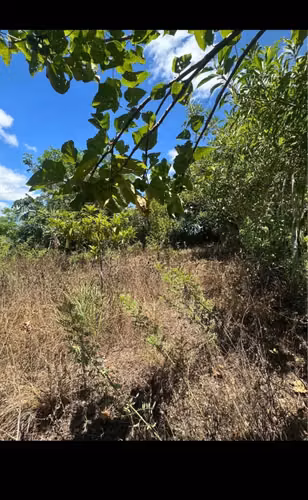 Venta de terrenos  - Imagen 9