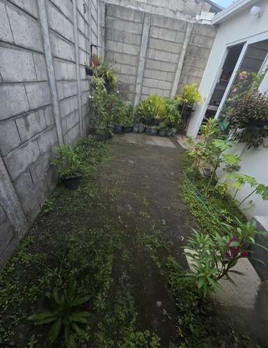 Vivienda en alquiler en ciudad marsella san juan opico