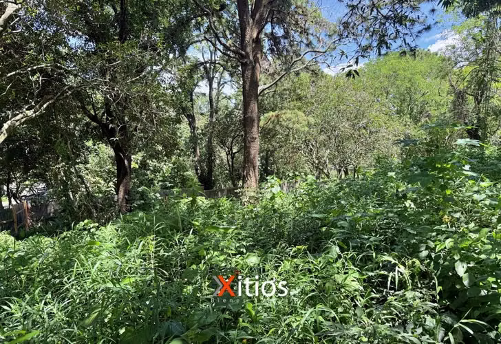 Venta de Terreno en Colonia Escalon - Imagen 4