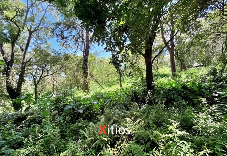 Venta de Terreno en Colonia Escalon - Imagen 5