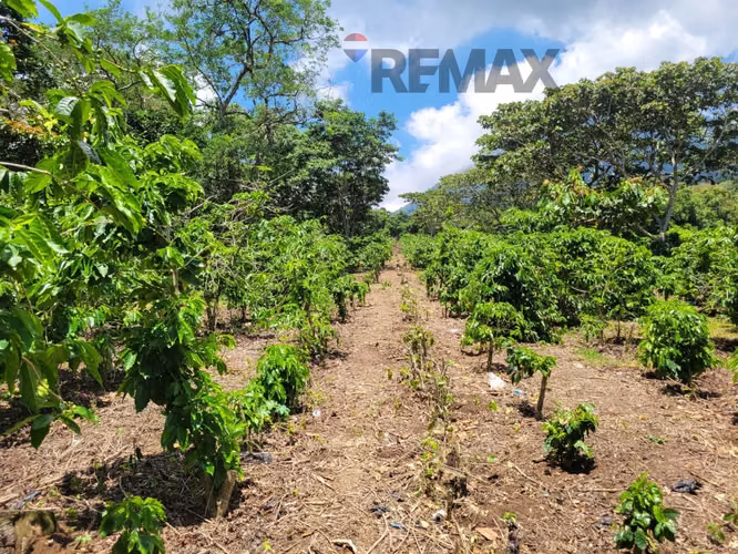 TERRENO EN RUTA DE LAS FLORES, APANECA EN VENTA 938 M2 PROYECTO EXCLUSIVO DESDE $107,000 - Imagen 8