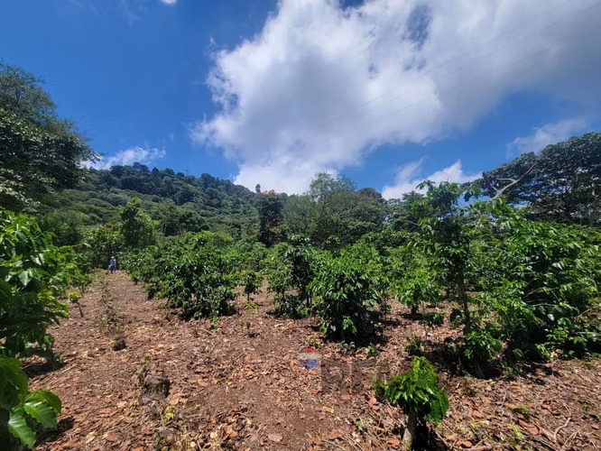 TERRENO EN RUTA DE LAS FLORES, APANECA EN VENTA 938 M2 PROYECTO EXCLUSIVO DESDE $107,000 - Imagen 13
