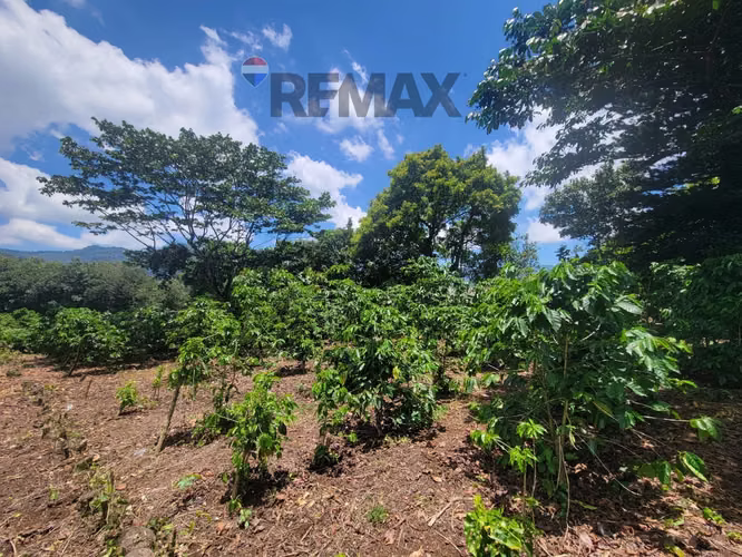 TERRENO EN RUTA DE LAS FLORES, APANECA EN VENTA 938 M2 PROYECTO EXCLUSIVO DESDE $107,000 - Imagen 7