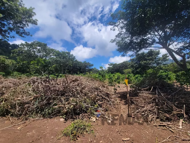 TERRENO EN RUTA DE LAS FLORES, APANECA EN VENTA 938 M2 PROYECTO EXCLUSIVO DESDE $107,000 - Imagen 17