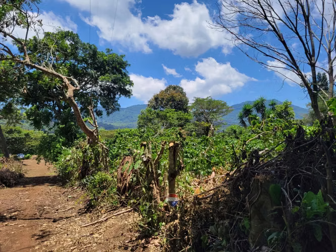 TERRENO EN RUTA DE LAS FLORES, APANECA EN VENTA 938 M2 PROYECTO EXCLUSIVO DESDE $107,000 - Imagen 18