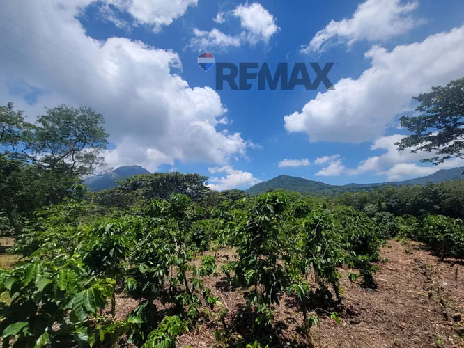 TERRENO EN RUTA DE LAS FLORES, APANECA EN VENTA 938 M2 PROYECTO EXCLUSIVO DESDE $107,000 - Imagen 5