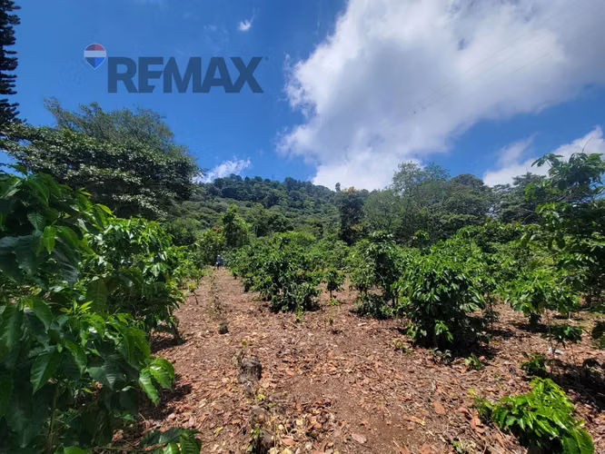 TERRENO EN RUTA DE LAS FLORES, APANECA EN VENTA 938 M2 PROYECTO EXCLUSIVO DESDE $107,000 - Imagen 10