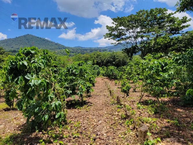 TERRENO EN RUTA DE LAS FLORES, APANECA EN VENTA 938 M2 PROYECTO EXCLUSIVO DESDE $107,000 - Imagen 2