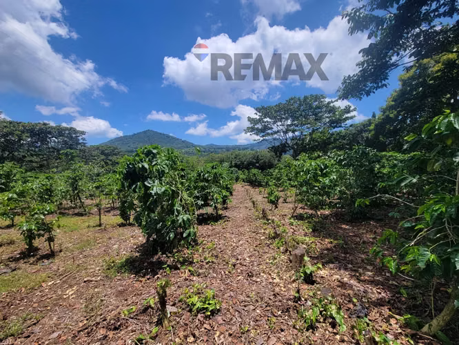 TERRENO EN RUTA DE LAS FLORES, APANECA EN VENTA 938 M2 PROYECTO EXCLUSIVO DESDE $107,000