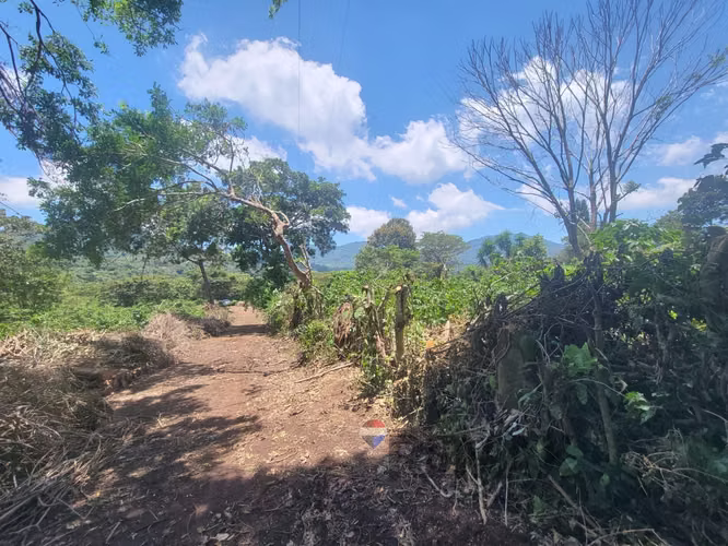TERRENO EN RUTA DE LAS FLORES, APANECA EN VENTA 938 M2 PROYECTO EXCLUSIVO DESDE $107,000 - Imagen 16