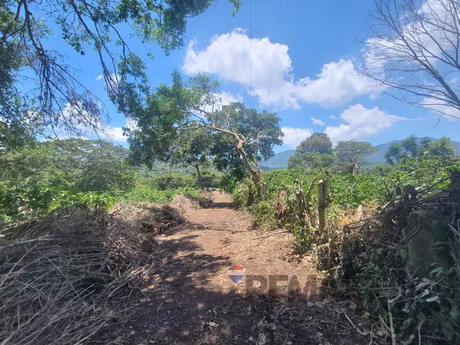 TERRENO EN RUTA DE LAS FLORES, APANECA EN VENTA 938 M2 PROYECTO EXCLUSIVO DESDE $107,000 - Imagen 15