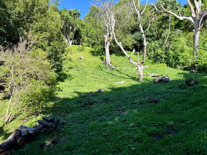 Propiedad en Venta 1.4 MZ Volcán de San Salvador VISTA ESPECTACULAR - Imagen 13