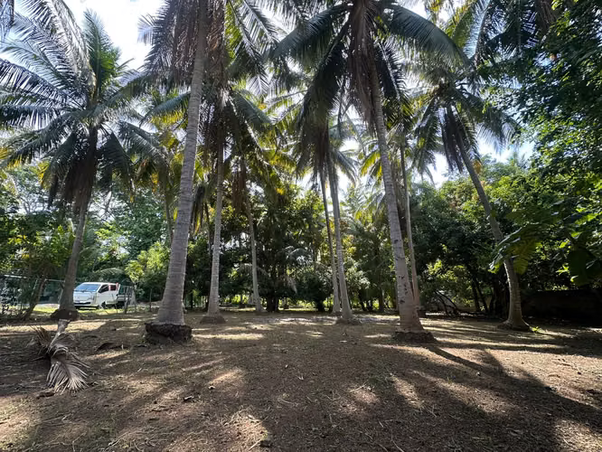  Tu lote de playa a 1 km de San Diego – 300 m² con cocoteros – $55,000 - Imagen 9
