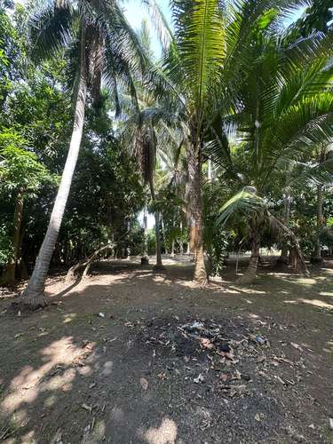  3 lotes juntos en esquina – 915 m² a 1 km de Playa San Diego – $160,000 - Imagen 18