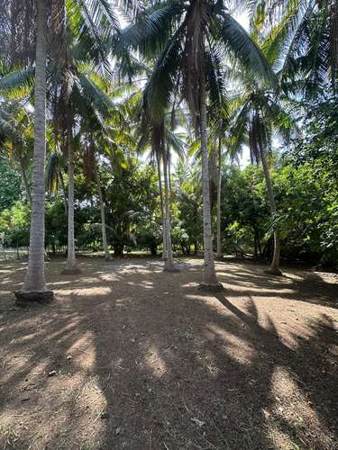 3 lotes juntos en esquina – 915 m² a 1 km de Playa San Diego – $160,000 - Imagen 13