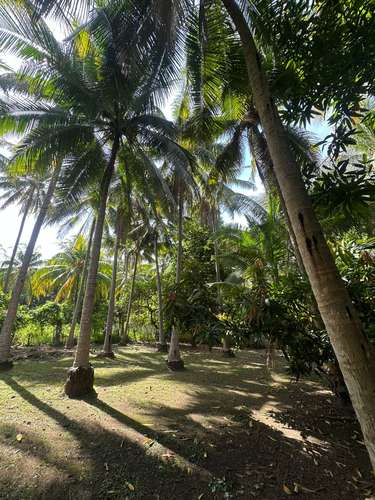  3 lotes juntos en esquina – 915 m² a 1 km de Playa San Diego – $160,000 - Imagen 14