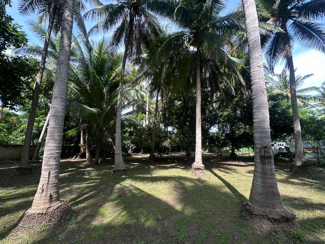  3 lotes juntos en esquina – 915 m² a 1 km de Playa San Diego – $160,000 - Imagen 3