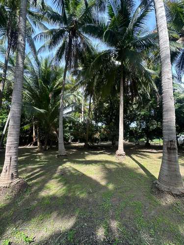  3 lotes juntos en esquina – 915 m² a 1 km de Playa San Diego – $160,000 - Imagen 11