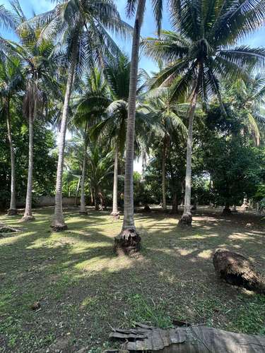  3 lotes juntos en esquina – 915 m² a 1 km de Playa San Diego – $160,000 - Imagen 10