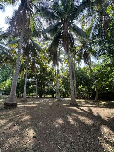  3 lotes juntos en esquina – 915 m² a 1 km de Playa San Diego – $160,000 - Imagen 8