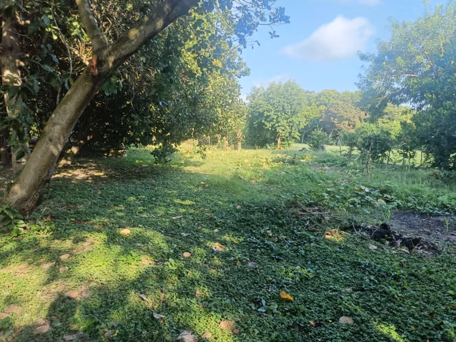 Terreno en Venta, para casa, rancho listo para construir  - Imagen 3