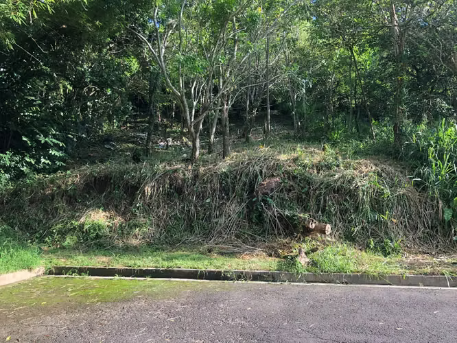 Terreno de 1,020 v² en Residencial Cumbres de Cuscatlán | $300,000 - Imagen 3