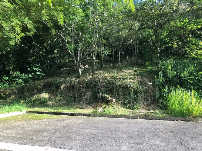Terreno de 1,020 v² en Residencial Cumbres de Cuscatlán | $300,000 - Imagen 4