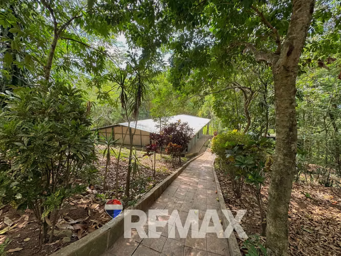 Finca de 14,000 m² con Infraestructura Completa — Ruta a Suchitoto - Imagen 13