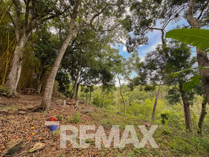 Finca de 14,000 m² con Infraestructura Completa — Ruta a Suchitoto - Imagen 10