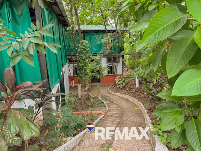 Finca de 14,000 m² con Infraestructura Completa — Ruta a Suchitoto - Imagen 8