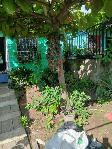 VENTA DE CASA LOURDES, CAMPOS VERDES - Imagen 5