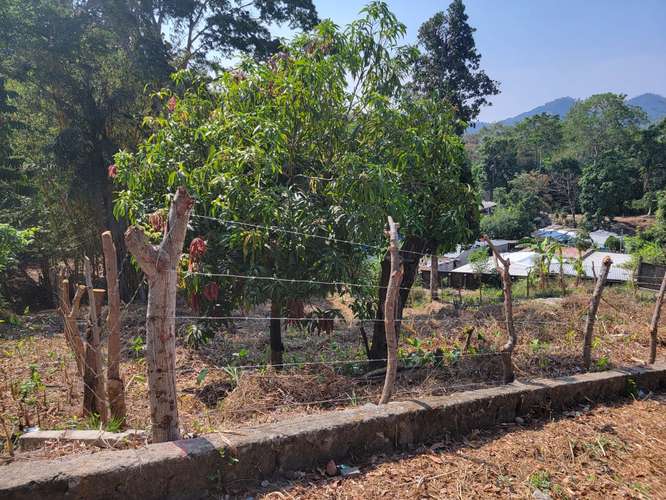 Bonito terreno, Carretera a Panchimalco, ubicado antes de la entrada a Panchimalco y a 45 minutos de San Salvador - Imagen 3