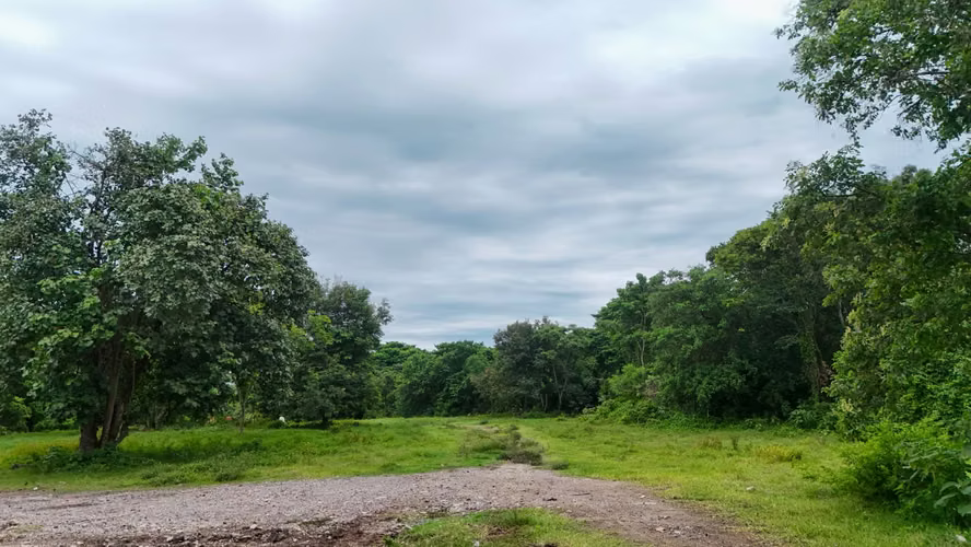 TERRENO EN VENTA IDEAL PARA COMPLEJO DE BODEGAS NEJAPA - Imagen 2