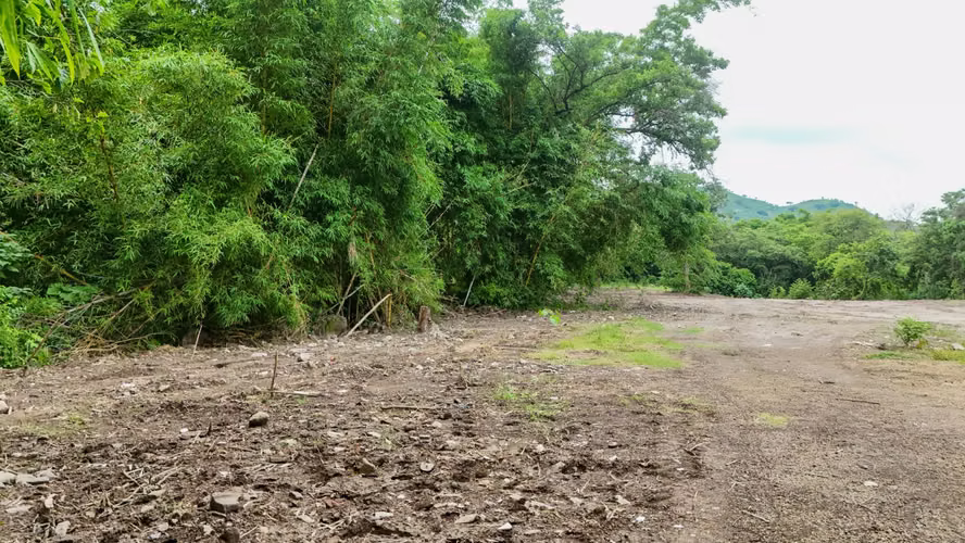 TERRENO EN VENTA IDEAL PARA COMPLEJO DE BODEGAS NEJAPA - Imagen 8