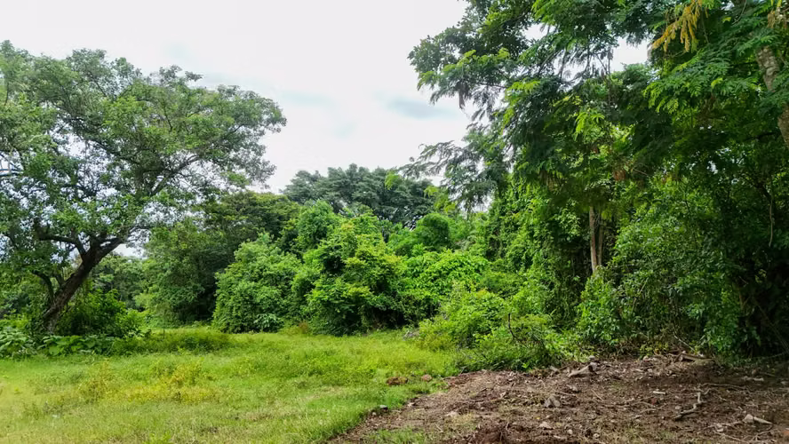 TERRENO EN VENTA IDEAL PARA COMPLEJO DE BODEGAS NEJAPA - Imagen 7