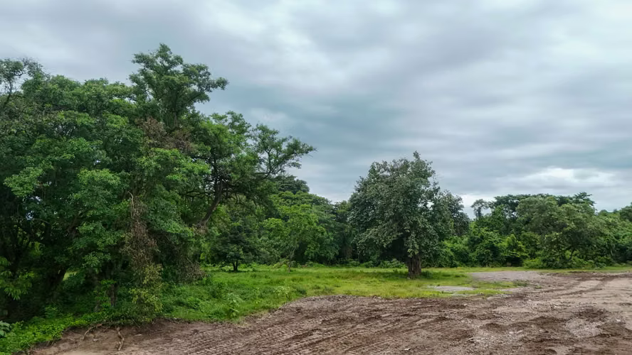 TERRENO EN VENTA IDEAL PARA COMPLEJO DE BODEGAS NEJAPA - Imagen 3