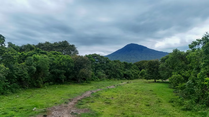 TERRENO EN VENTA IDEAL PARA COMPLEJO DE BODEGAS NEJAPA - Imagen 5