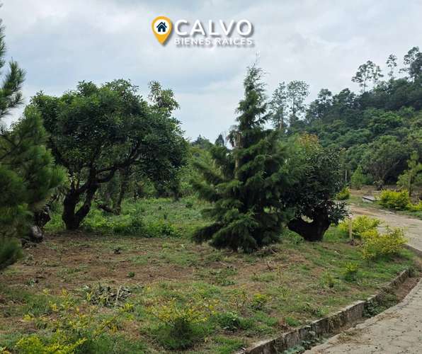 TERRENOS EN VENTA | RESIDENCIAL CUMBRES DE COMASAGUA, LA LIBERTAD - Imagen 3