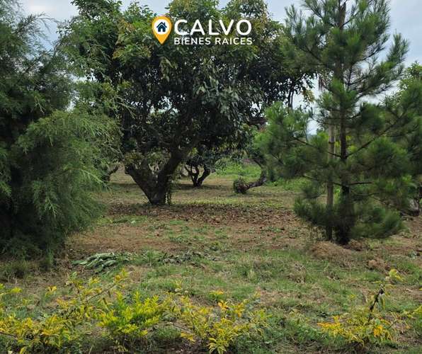 TERRENOS EN VENTA | RESIDENCIAL CUMBRES DE COMASAGUA, LA LIBERTAD - Imagen 2