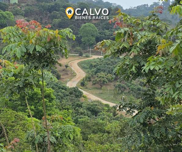 TERRENOS EN VENTA | RESIDENCIAL CUMBRES DE COMASAGUA, LA LIBERTAD - Imagen 7