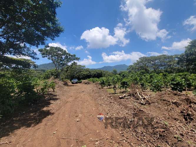 APANECA | LOTES EN VENTA | CON VISTA