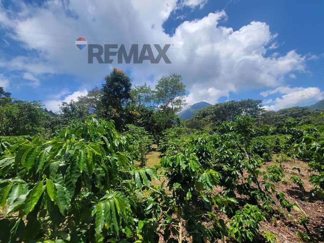 APANECA | LOTES EN VENTA | CON VISTA