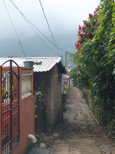 Los Naranjos - Imagen 3