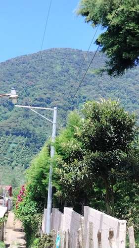 Los Naranjos - Imagen 11