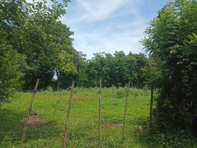 Terreno - Imagen 2