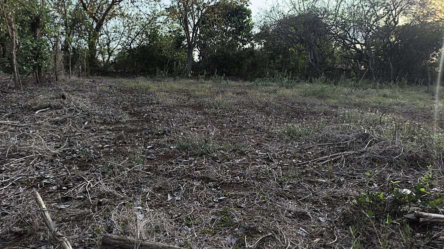 Terreno - Imagen 4